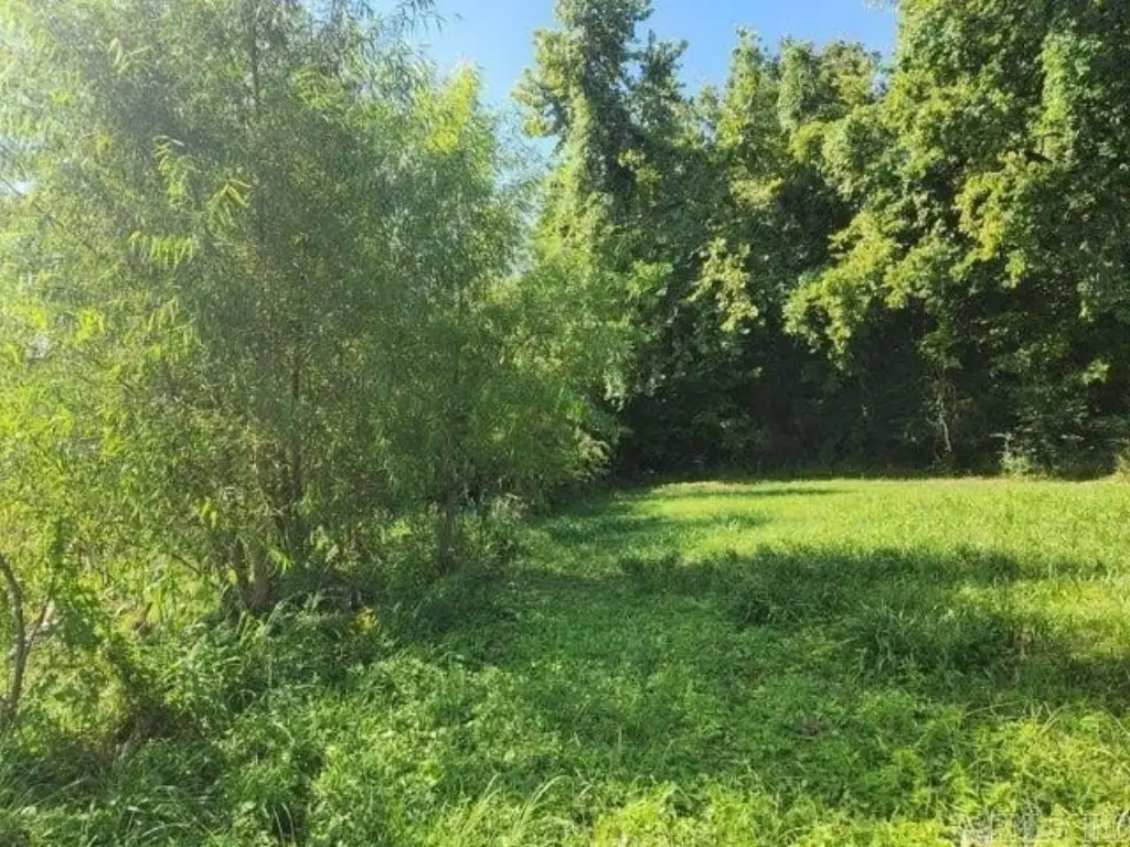 Picture 4