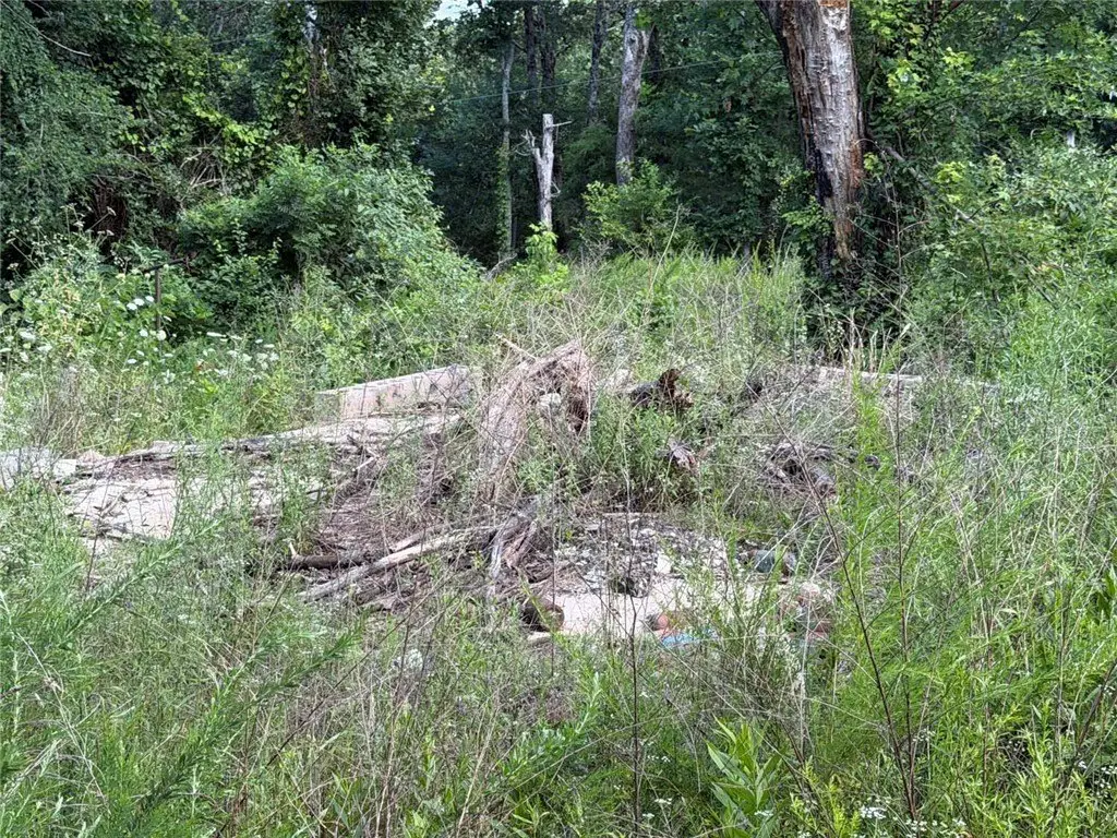 Picture 11
