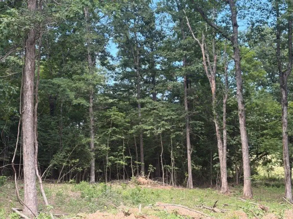 Picture 5
