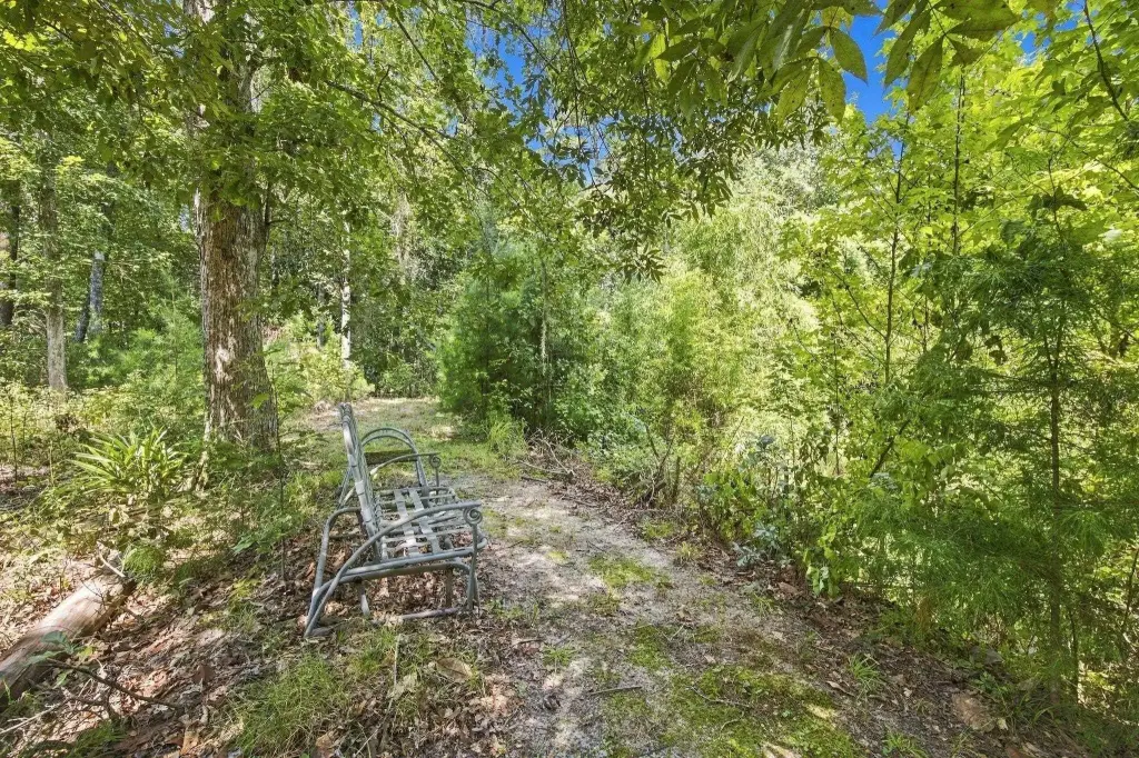 Picture 27