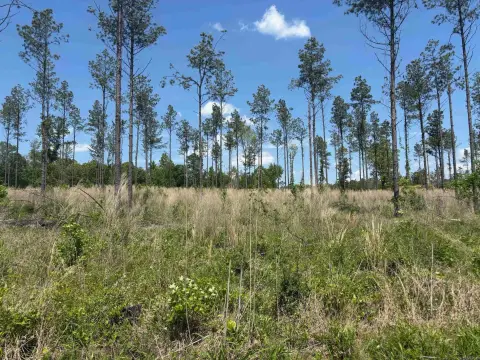 Sheridan Acreage Near Golf Club