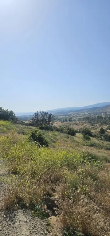 Picture 22