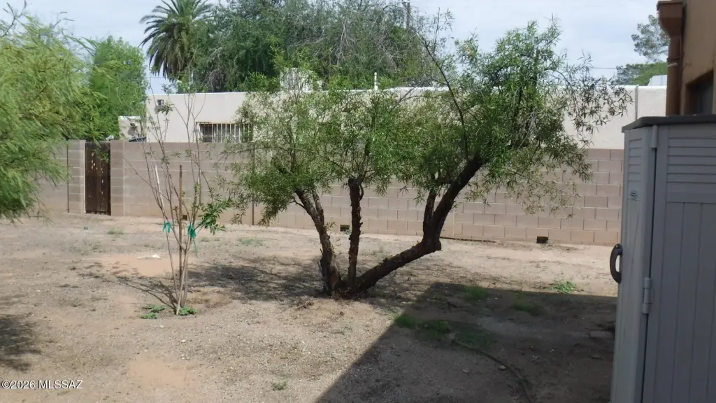 Picture 21