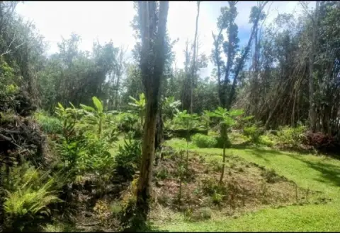 Land in Lower Puna, Hawaii