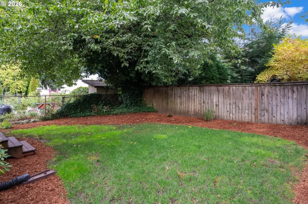 Picture 36