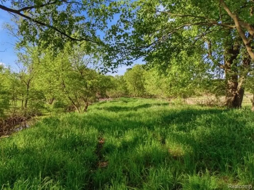 Picture 9