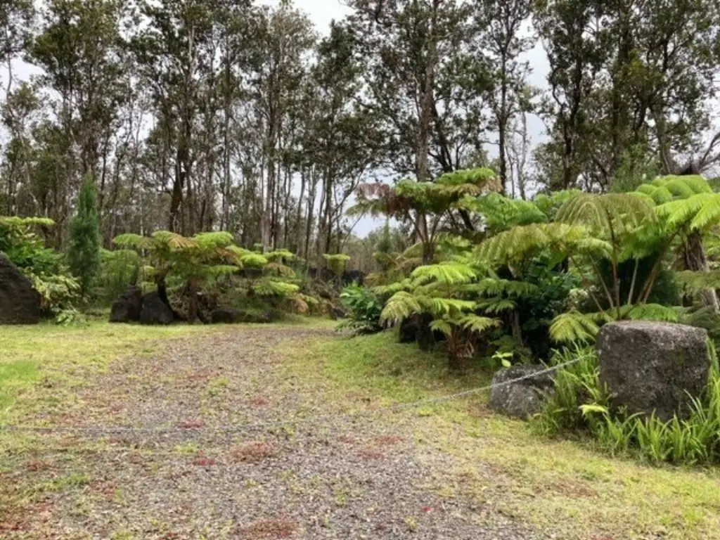 Picture 23