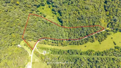 Wooded Recreation Land with Creek