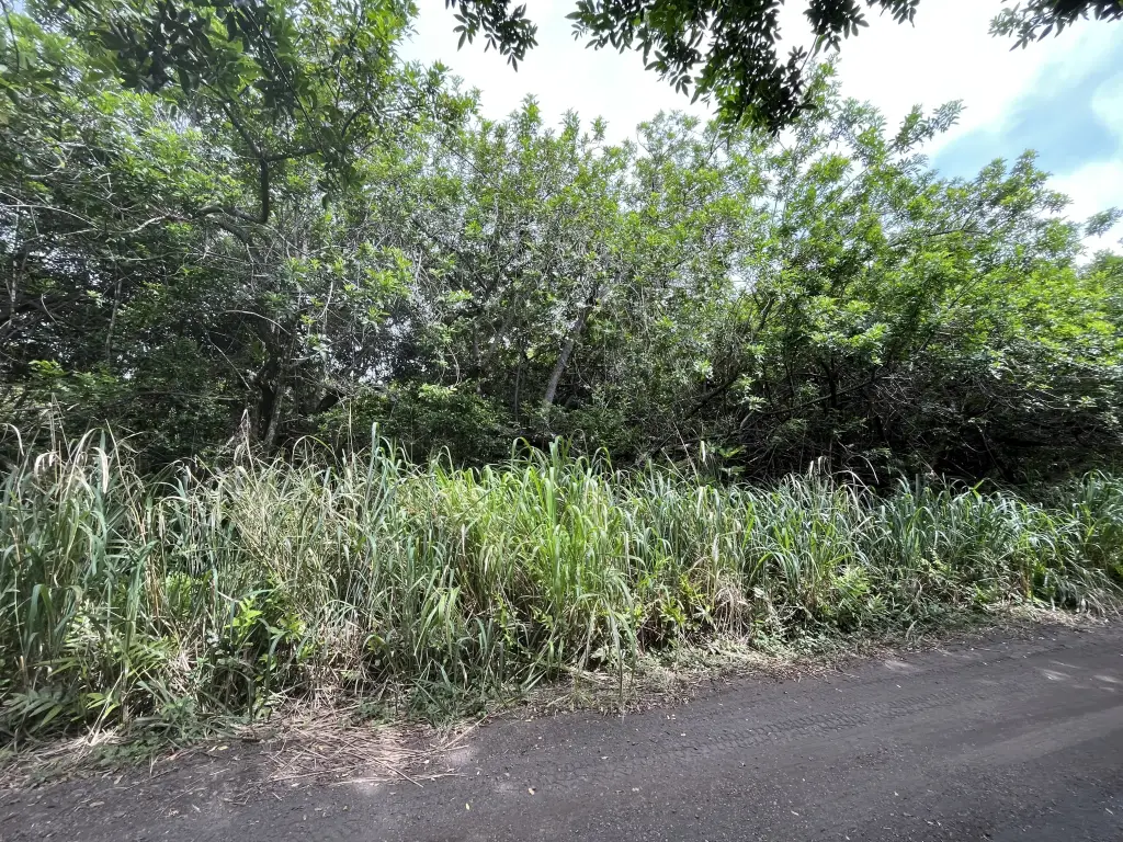 Picture 5