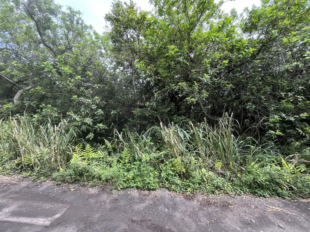 Picture 2