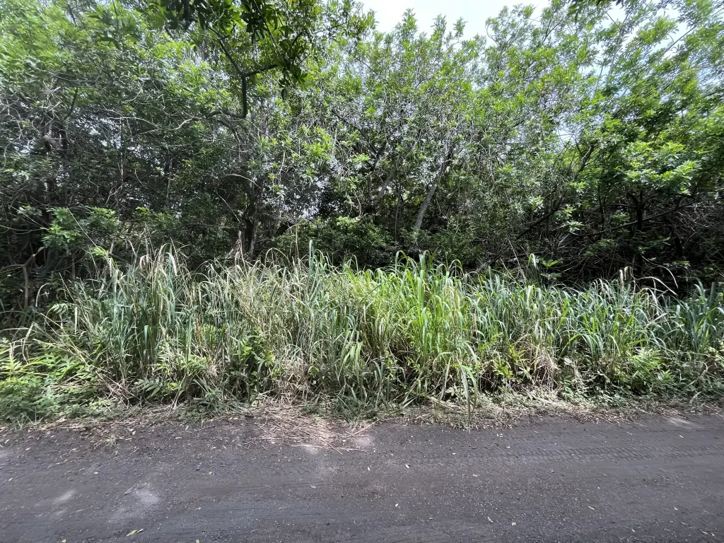 Picture 4