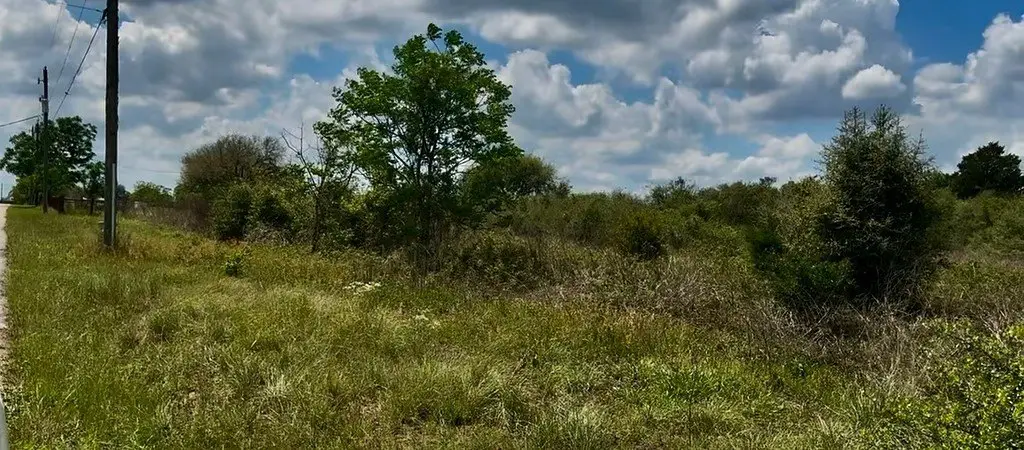 Picture 6