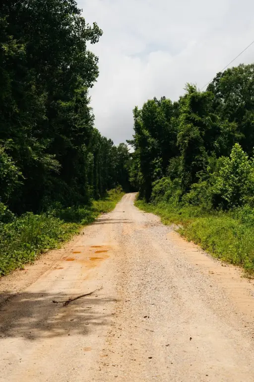 Picture 20