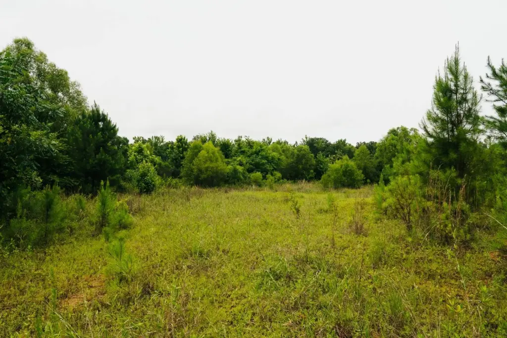 Picture 36