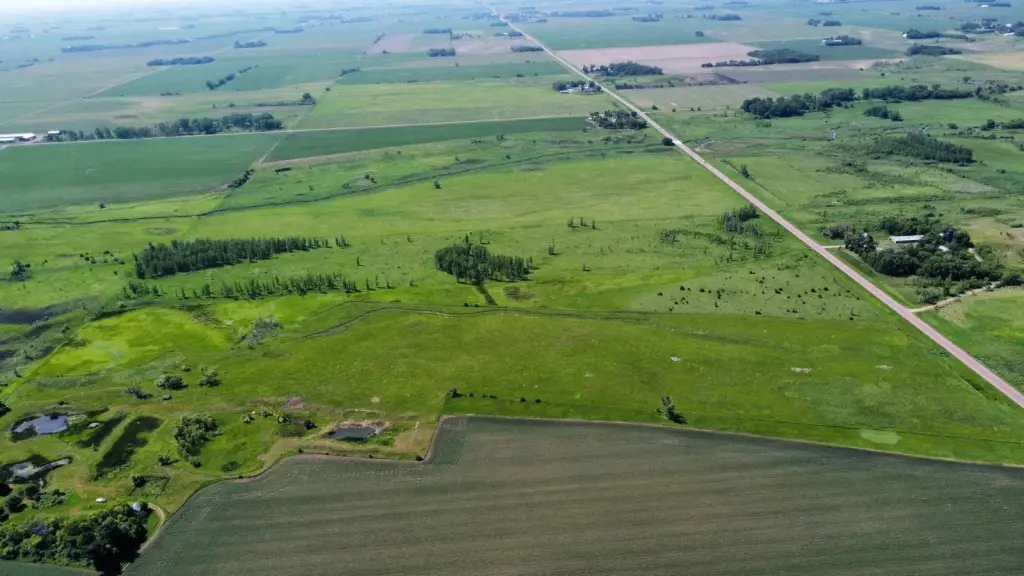 Picture 11