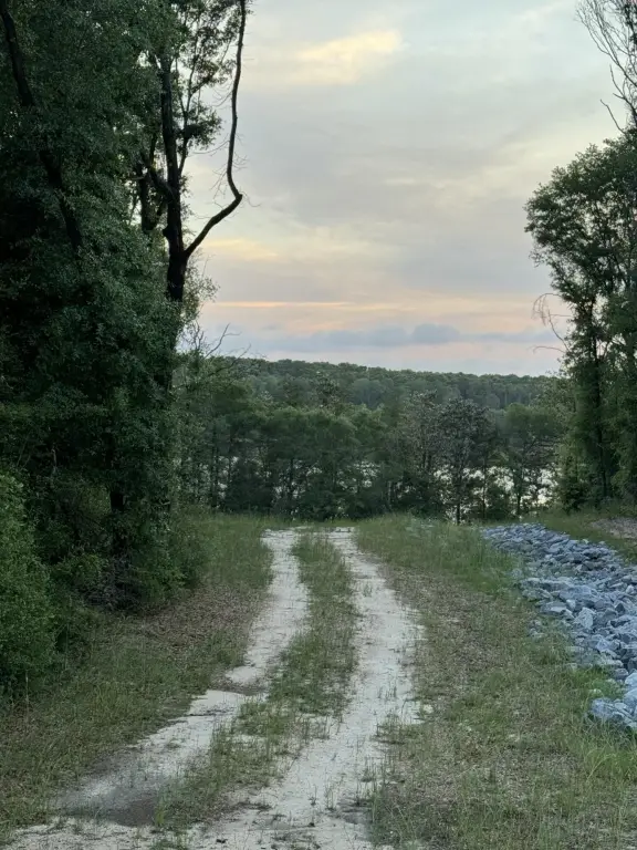Picture 5
