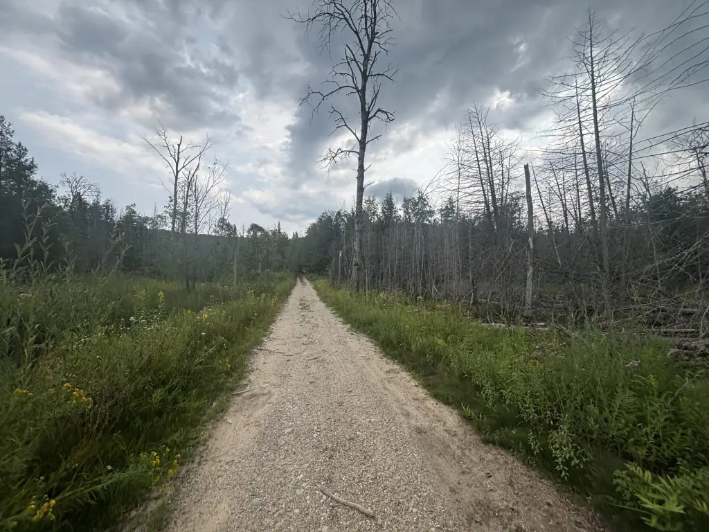 Picture 40