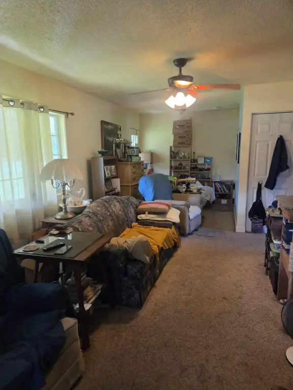 Picture 18