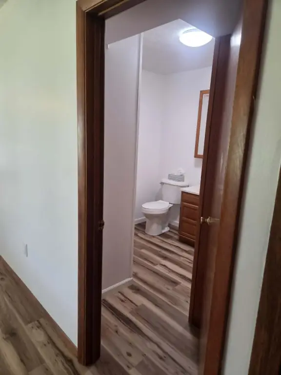 Picture 12