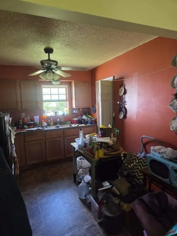 Picture 19
