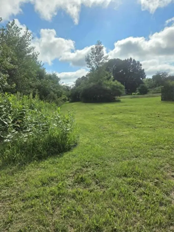 Picture 22