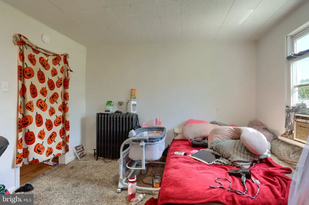 Picture 19