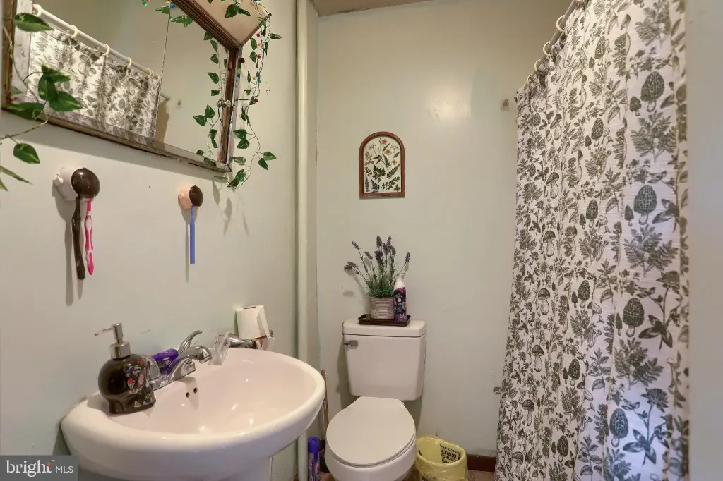 Picture 27