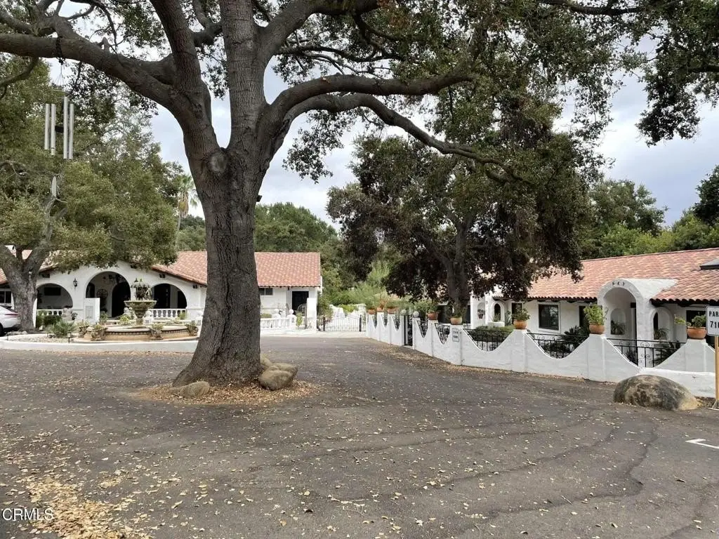 Picture 16