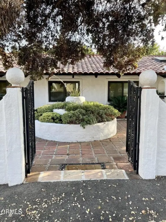 Picture 15