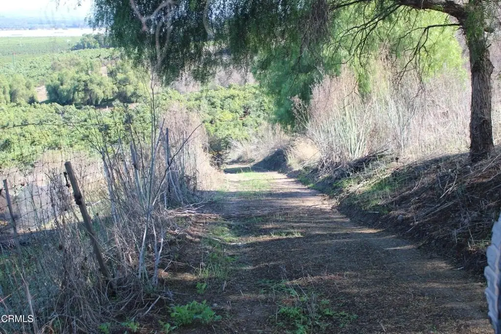 Picture 19