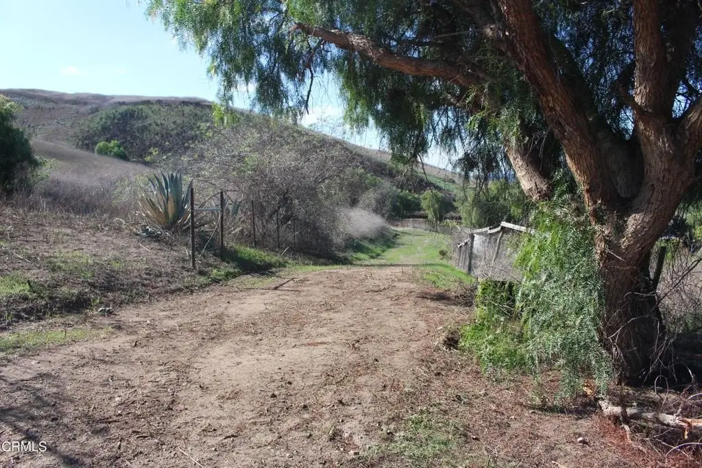 Picture 18
