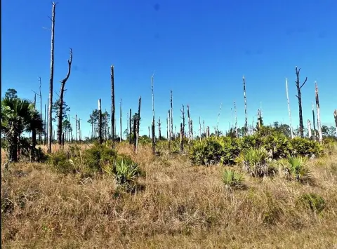 Residential Land in North Port