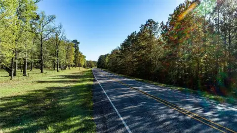 Wooded Hunting Land
