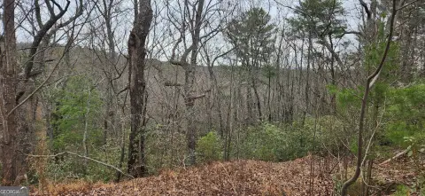 Residential Lot Near Tallulah Gorge