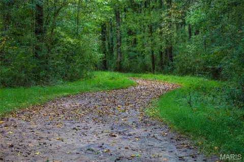 15 Acres of Secluded Land