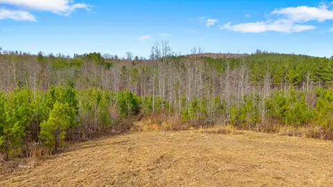 Unrestricted Land in Decatur, TN
