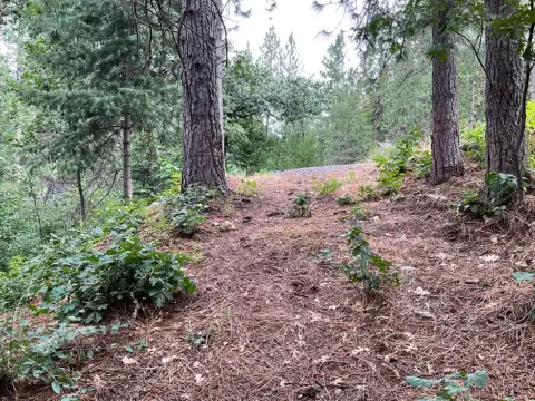 Residential Lot in Blue Lake