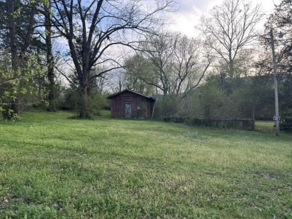 Picture 8