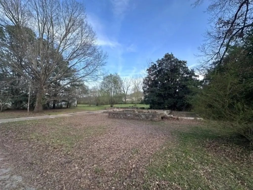 Picture 4