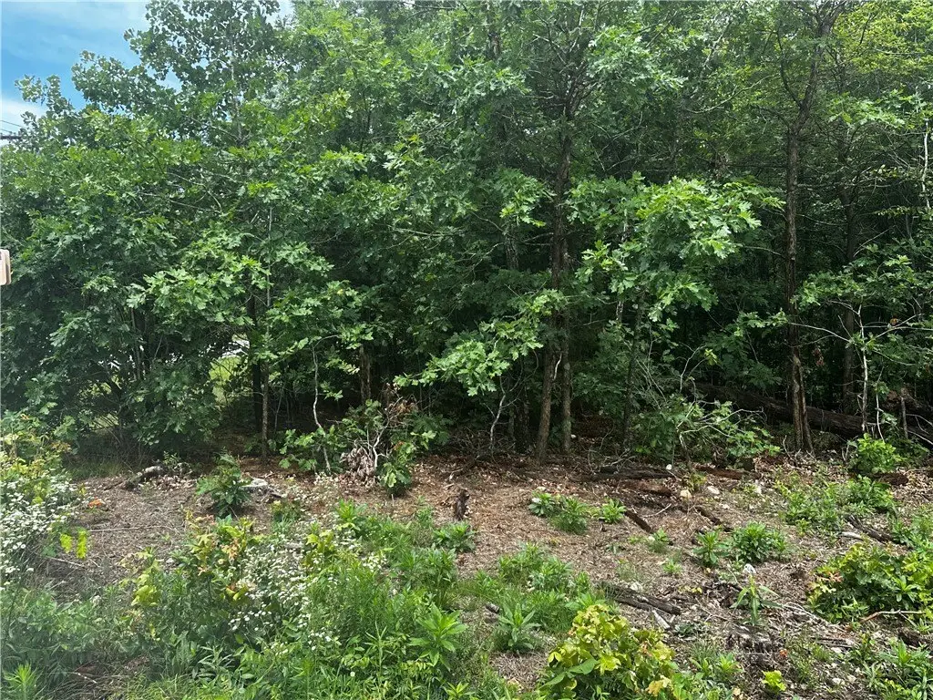 Picture 13