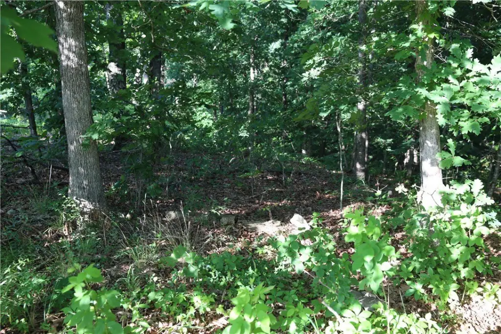 Picture 3