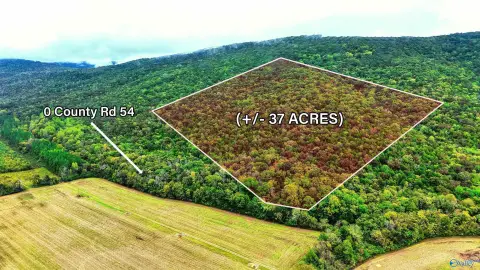 Wooded Mountain Recreation Land