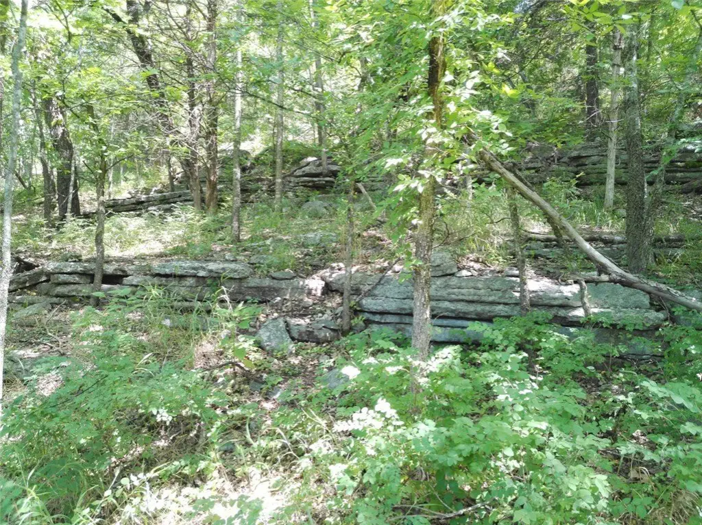 Picture 30