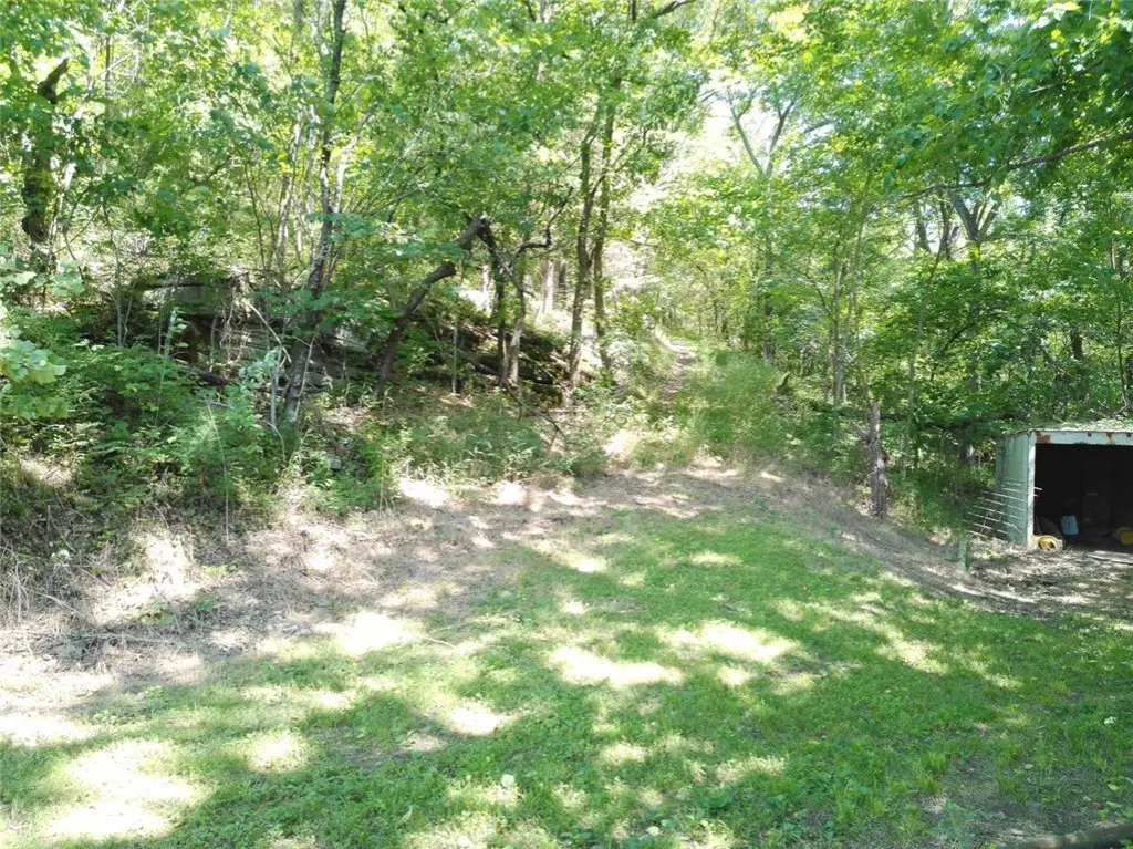 Picture 11