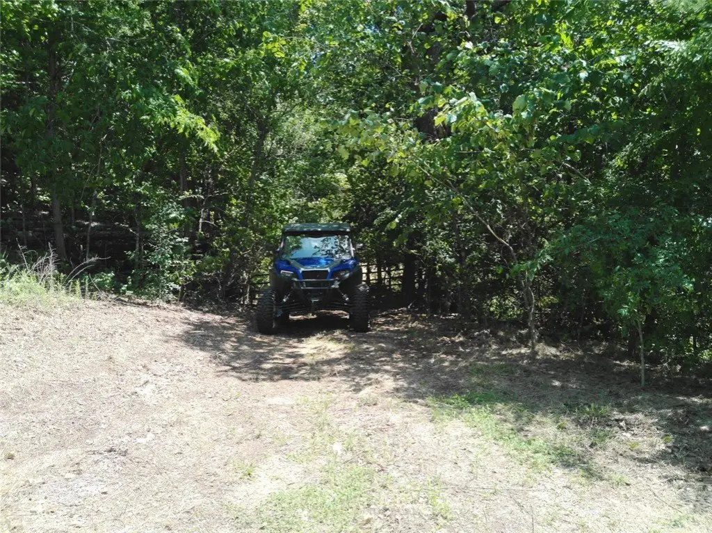 Picture 18