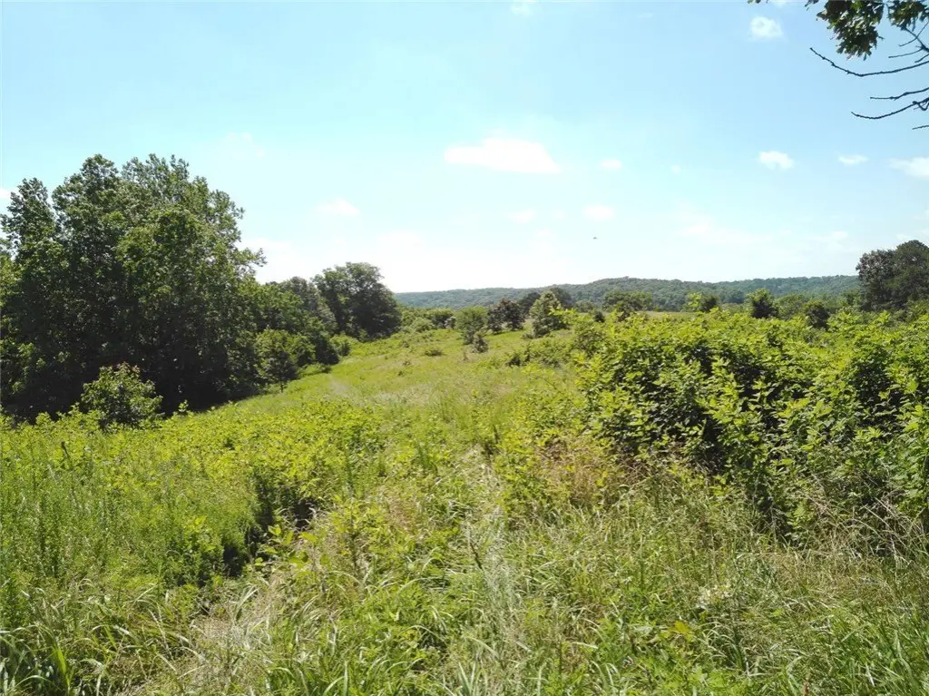 Picture 41