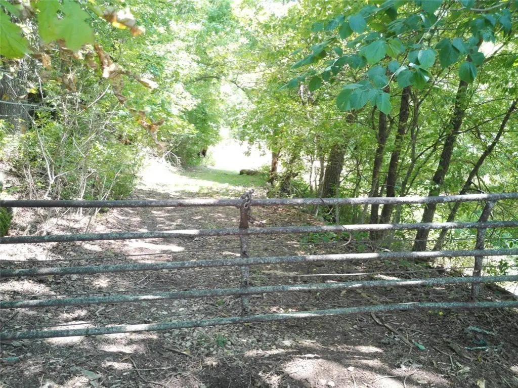 Picture 16