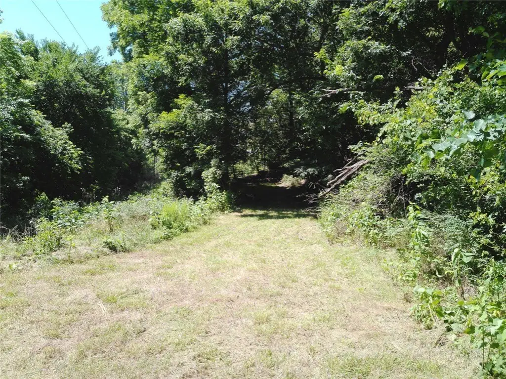 Picture 25