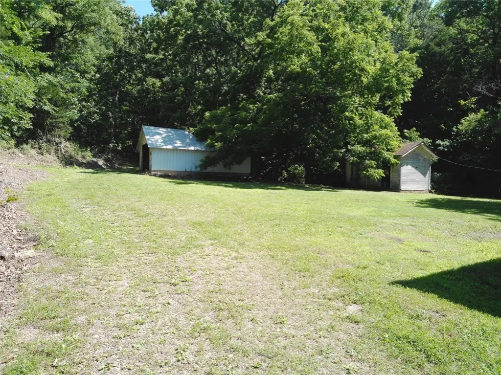 Picture 12