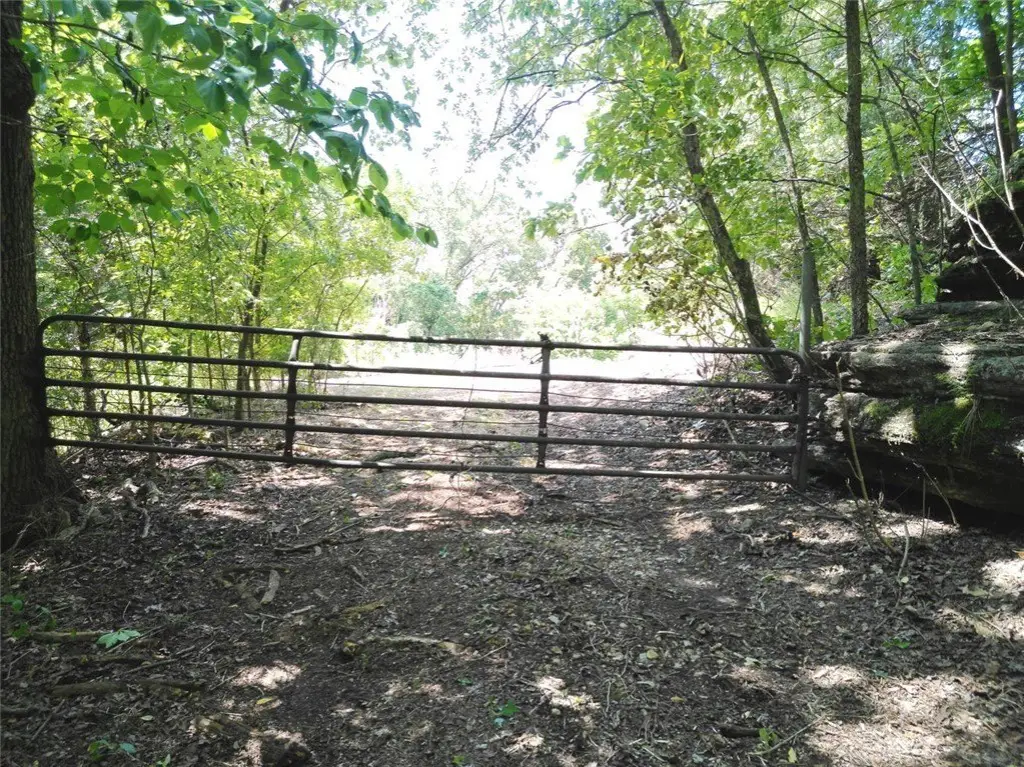 Picture 21